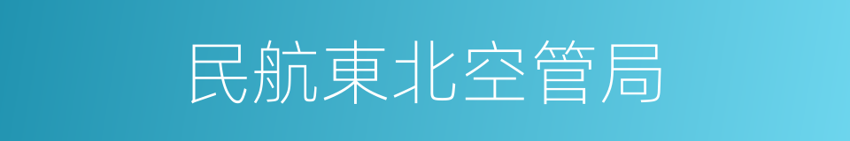 民航東北空管局的同義詞