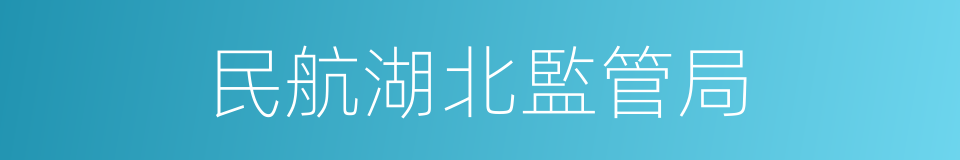 民航湖北監管局的同義詞