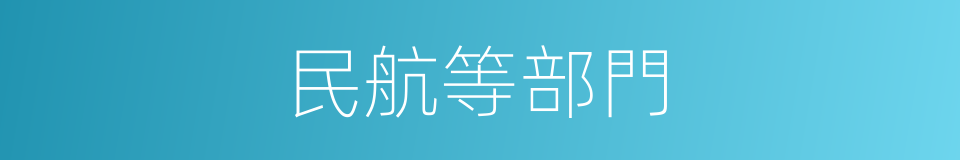 民航等部門的同義詞