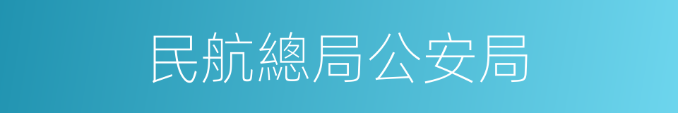 民航總局公安局的同義詞