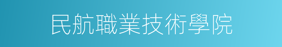 民航職業技術學院的同義詞