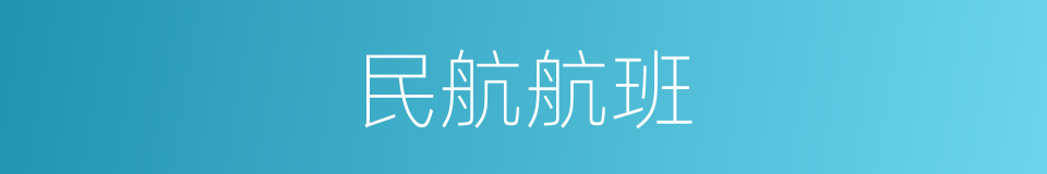 民航航班的同义词