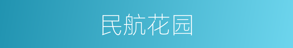 民航花园的同义词