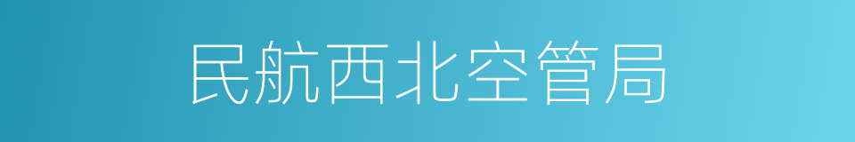 民航西北空管局的同义词