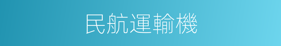 民航運輸機的同義詞