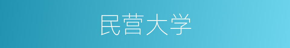 民营大学的同义词