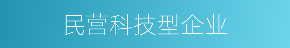 民营科技型企业的同义词