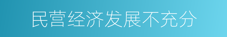 民营经济发展不充分的同义词