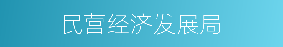 民营经济发展局的同义词