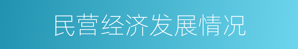 民营经济发展情况的同义词