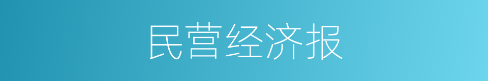 民营经济报的同义词