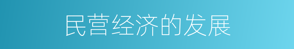 民营经济的发展的同义词