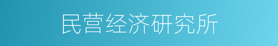 民营经济研究所的同义词