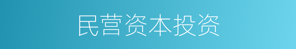 民营资本投资的同义词
