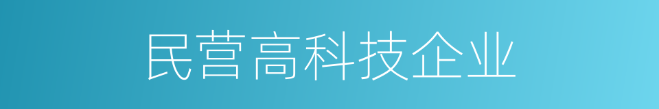 民营高科技企业的同义词