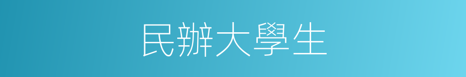 民辦大學生的同義詞