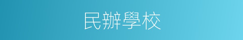 民辦學校的意思