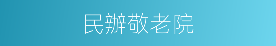 民辦敬老院的同義詞