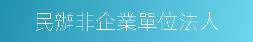 民辦非企業單位法人的同義詞