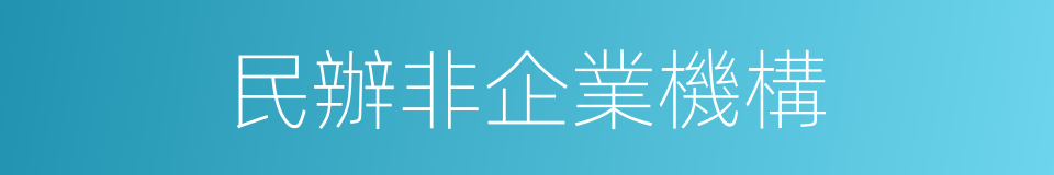 民辦非企業機構的同義詞