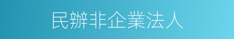 民辦非企業法人的同義詞