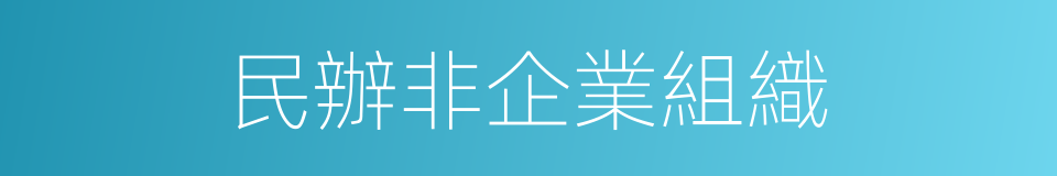 民辦非企業組織的同義詞