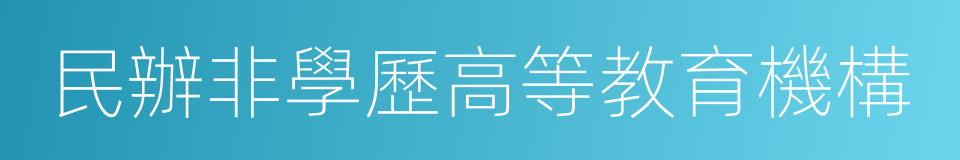 民辦非學歷高等教育機構的同義詞