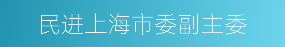 民进上海市委副主委的同义词