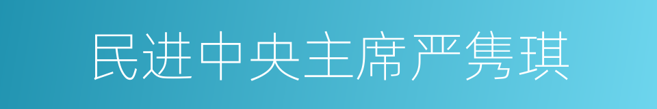 民进中央主席严隽琪的同义词