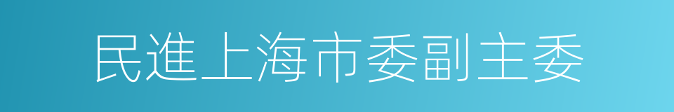 民進上海市委副主委的同義詞