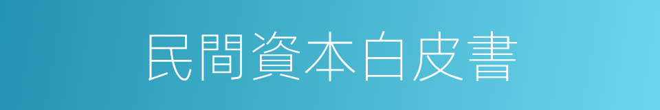 民間資本白皮書的同義詞