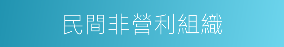 民間非營利組織的同義詞