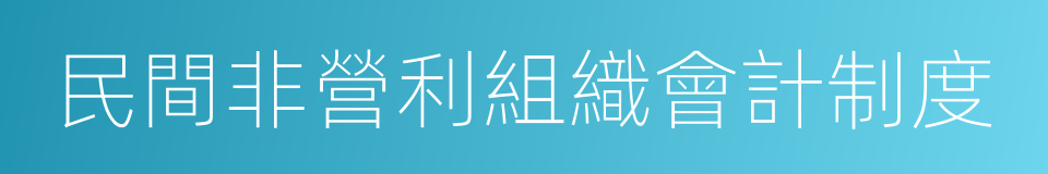 民間非營利組織會計制度的同義詞