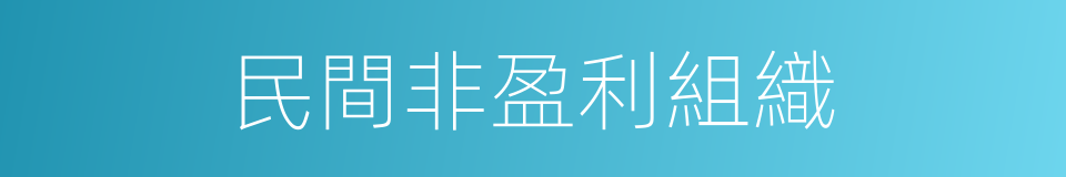 民間非盈利組織的同義詞