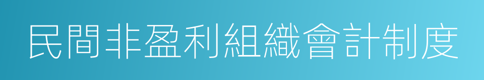 民間非盈利組織會計制度的同義詞