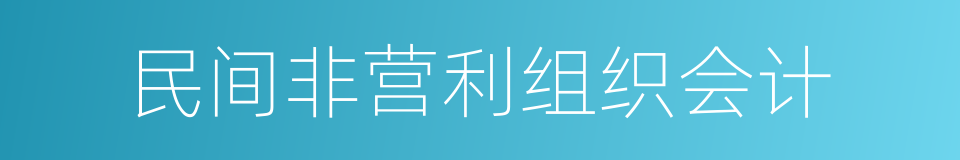 民间非营利组织会计的同义词