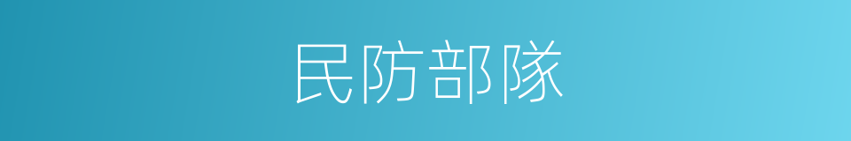 民防部隊的同義詞