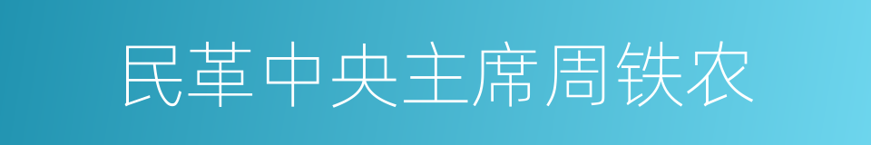 民革中央主席周铁农的同义词