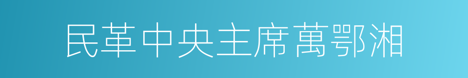 民革中央主席萬鄂湘的同義詞