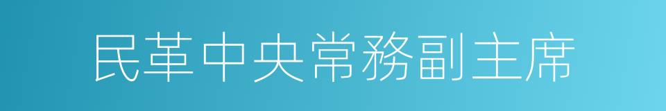 民革中央常務副主席的同義詞