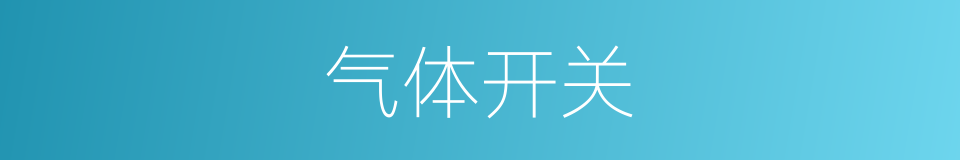 气体开关的同义词