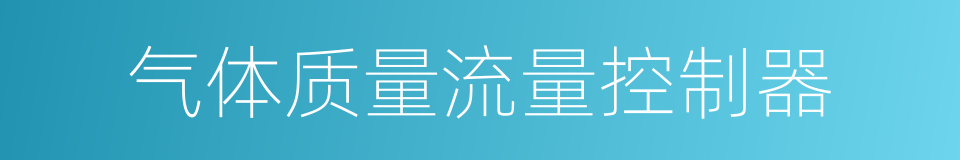 气体质量流量控制器的同义词
