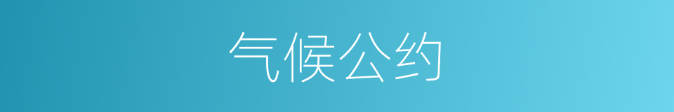 气候公约的同义词