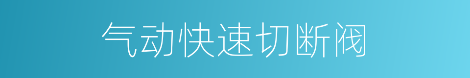 气动快速切断阀的同义词