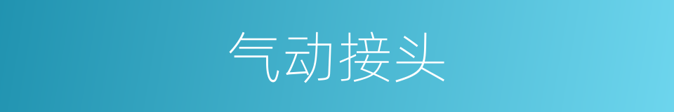 气动接头的同义词