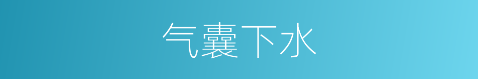 气囊下水的同义词