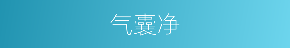 气囊净的同义词