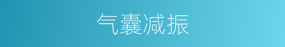 气囊减振的同义词