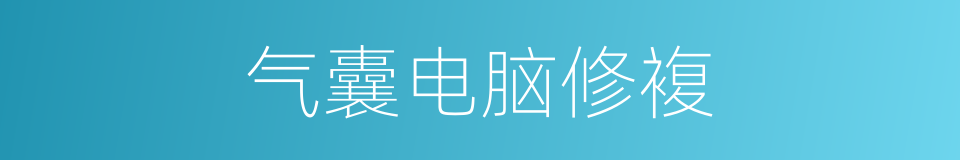 气囊电脑修複的同义词