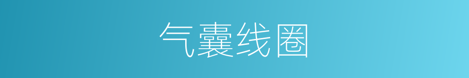 气囊线圈的同义词